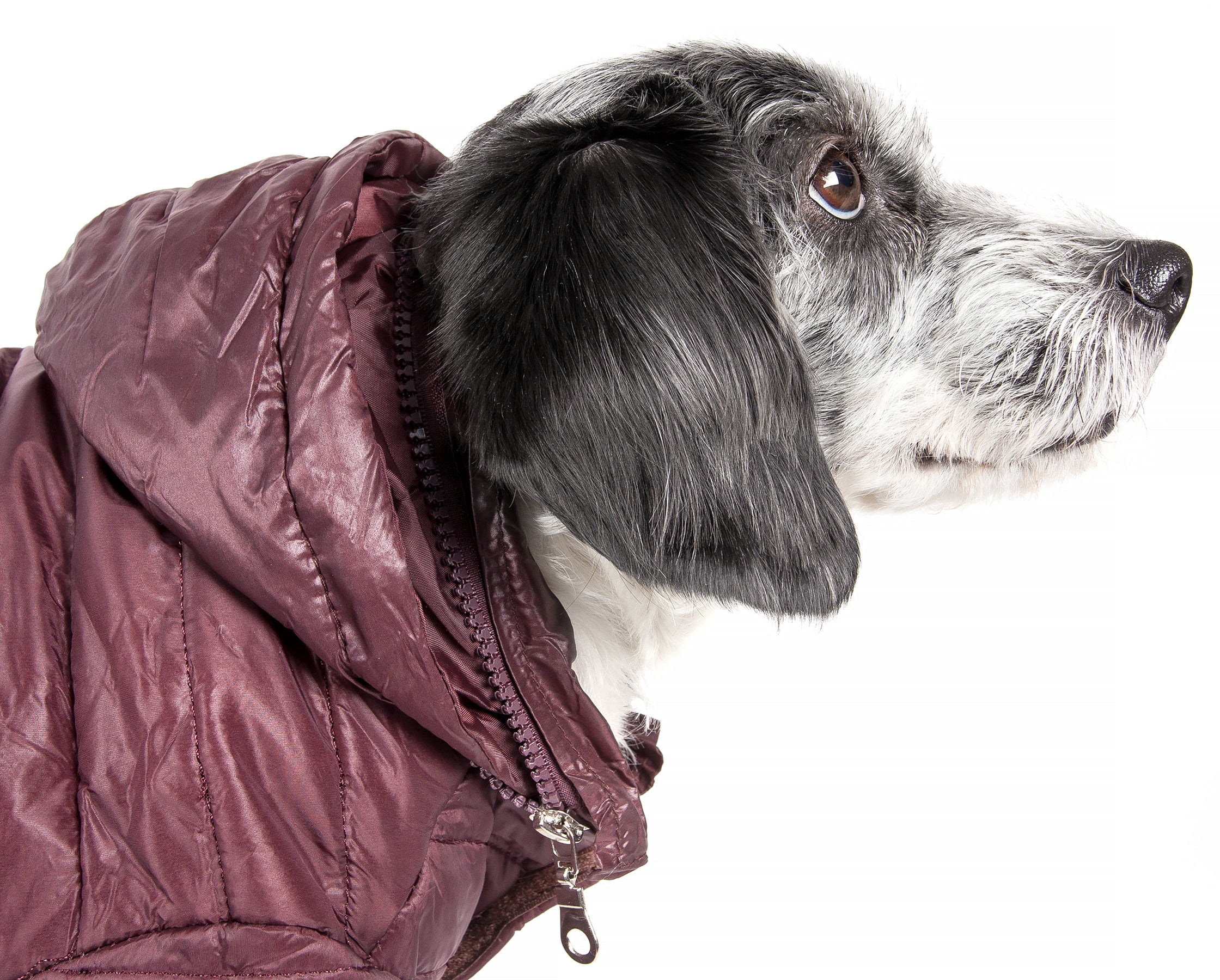 Pet Life LLC 30BRSM Lightweight Adjustable 'Sporty Avalanche' Pet Coat