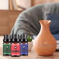 thumbnail image 2 of wefenad Juego de 6 aceites esenciales terapéuticos de 10 ml, aceites esenciales solubles en agua, aceite esencial terapéutico natural puro para difusor de aceites esenciales, set navideño, 2 of 3