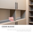 10 Pcs Insect Repellent Cedar Blocks Durable Cedar Blocks Closet