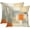 Beige Orange, variant on Throw Pillow Covers Modern Home Art Decor, 18 x 18 Inches Set of 2 Pillow Cases Decorative, Abstract Oil Painting Pillowcases for Bedroom, Living Room, Taupe Tan Grey Brown Beige