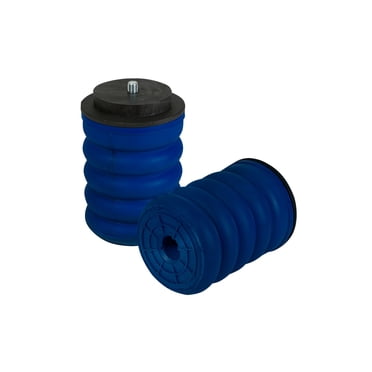 Skunk2 Lowering Springs 2002-2005 Honda Civic Si