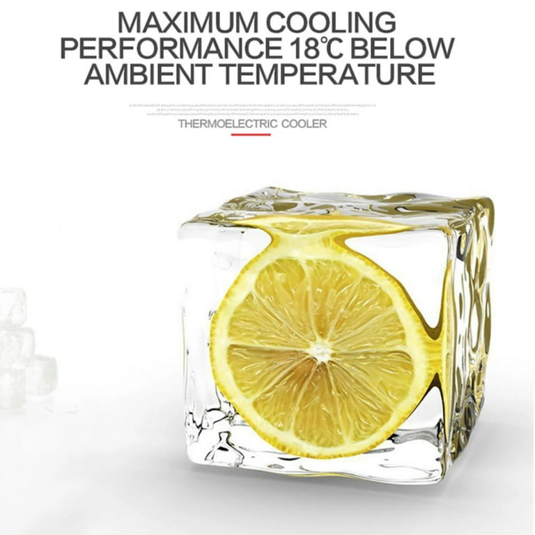 tillvex® 40L Cooling Box 12V 230V Car Thermoelectric Warm Up Box  Refrigerator