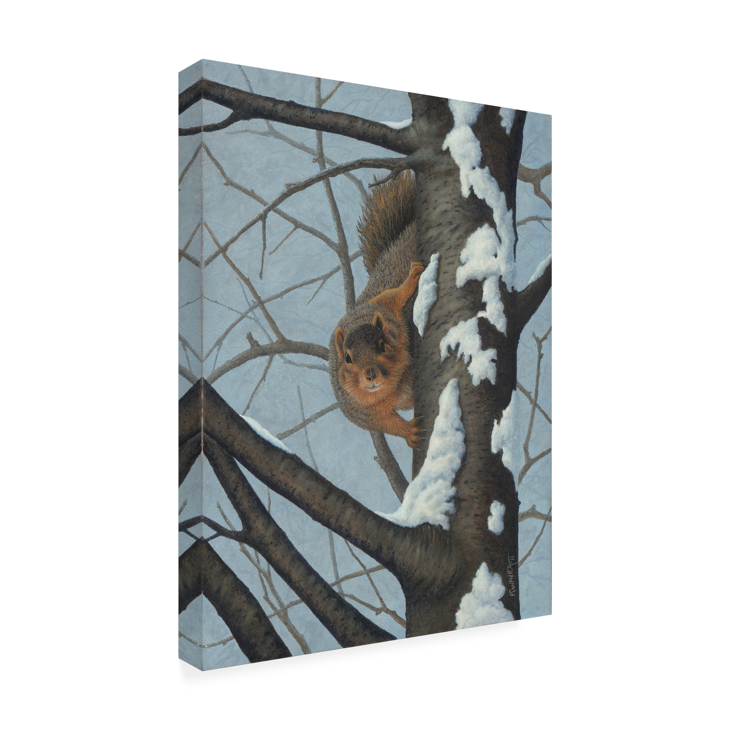 Trademark Fine Art 'What's Going On - Fox Squirrel' Canvas Art by Robert Wavra