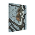 thumbnail image 4 of Trademark Fine Art 'What's Going On - Fox Squirrel' Canvas Art by Robert Wavra, 4 of 4