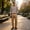 Khaki, variant on Mens Polo Shirts Long Sleeve Button Down Collar Casual Golf Shirt Breathable Basic Solid Color Loose Tops, 2XL