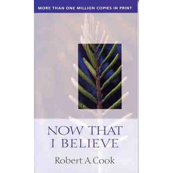 Now That I Believe (Paperback)