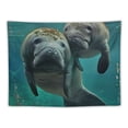 thumbnail image 5 of Autua Manatees Baby Manatee Aquatic Tapestry Wall Hanging Unique Style Graphic Tapestries Home Wall Decor Art for Living Room Bedroom Apartment Farmhouse Dorm 50x40inch, 5 of 6