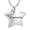 Customize, variant on Urn Necklace for Ashes Stainless Steel Small Star Urn Pendant Cremation Jewelry Star Shape Memory Keepsake for Women Men Gifts