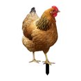 thumbnail image 2 of Estaca De Animales Rooster Garden Stakes Estaca acrílica para patio para techo de granero de casa (A) Tmvgtek Libre de BPA, 2 of 8