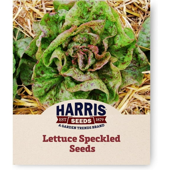 Harris Seeds - Organic Lettuce Speckled Seeds Heirloom Buttery Flavor Red Spots - 50 Seeds