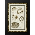 thumbnail image 2 of Hausenflock, Alan 13x18 Black Modern Framed Museum Art Print Titled - Sand and Shells II, 2 of 5