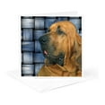thumbnail image 5 of 3drose, Bloodhound, 6 Greeting Cards with Envelopes, 5 of 7