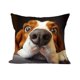 thumbnail image 2 of Funda de almohada decorativa | Funda para cojín de sofá y cama | Protector de almohada cuadrado de 45x45 cm con cremallera oculta | Tejido de poliéster suave, 2 of 6