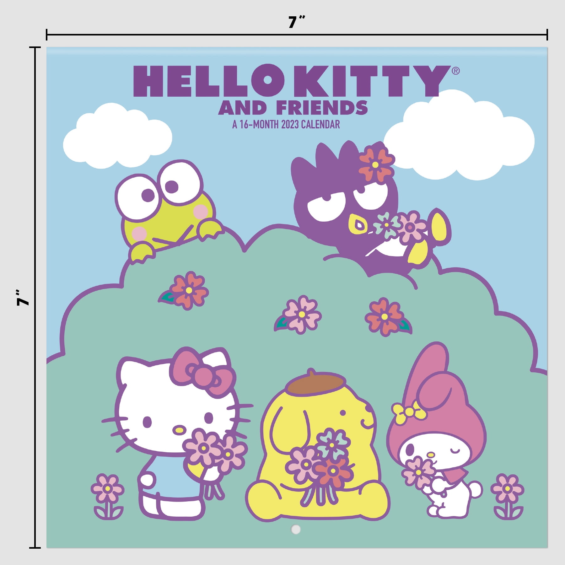 Trends International 2023 Hello Kitty Mini Wall Calendar - Walmart.com trends-international-2023-hello-kitty-mini-wall-calendar-walmart-com