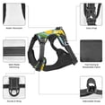 thumbnail image 6 of Junzan Lemon Pattern Dog Harness - Lightweight,Soft,Adjustable Small Harness And Leash Set-Large, 6 of 8