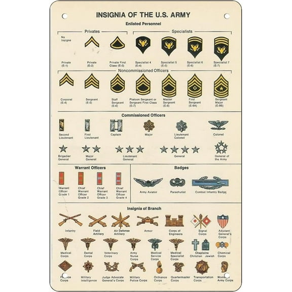 Insignia of The us Army Knowledge Funny Novelty Metal Sign Retro Wall Decor for Home Gate Garden Bars Restaurants Cafes Office Store Pubs Club Sign Gift 12 X 8 INCH Plaque Tin Sign