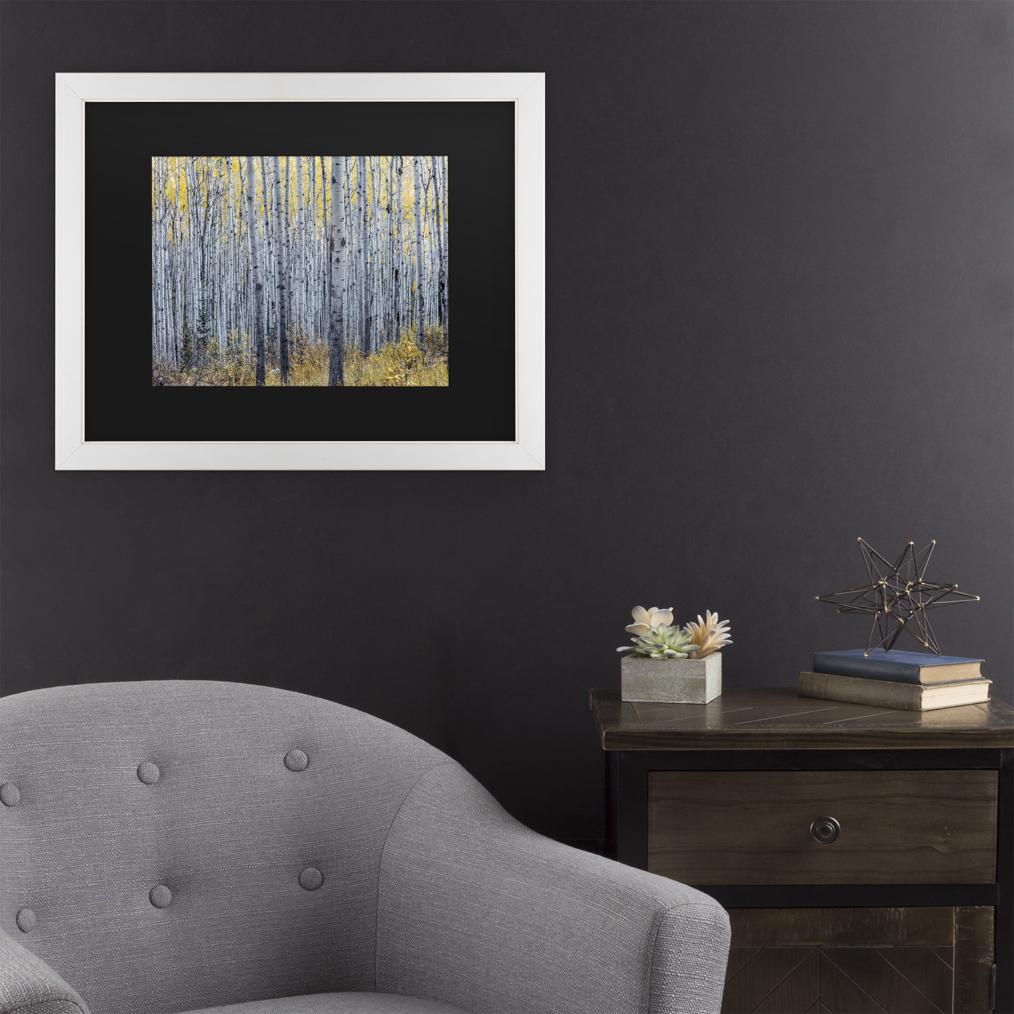 Trademark Fine Art 'Forest of Aspen Trees' Canvas Art by Pierre Leclerc