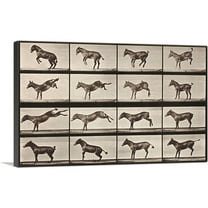 ARTCANVAS Donkey Bucking and Kicking Canvas Art Print by Eadweard Muybridge - Size: 18" x 12" (0.75" Deep)