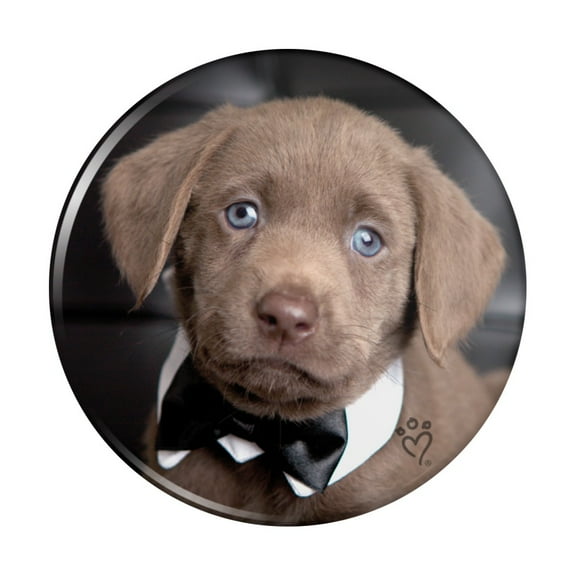 Labrador Lab Puppy Dog Bachelor Bow Tie Kitchen Refrigerator Locker Button Magnet