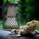 thumbnail image 5 of Pantalla De Luz De Calefacción De Cerámica Antiescaldaduras, Antimetal, Para Criadora De Pollos Y Reptiles, Color Negro, 5 of 7