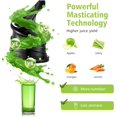 Aobosi Masticating Juicer Machine, 2In1 Cold Press Juicer with Large Feed Chute for Juice