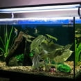 thumbnail image 5 of Plantas artificiales para acuarios, utilizadas para la decoración de acuarios.Plantas de acuario, 5 of 5