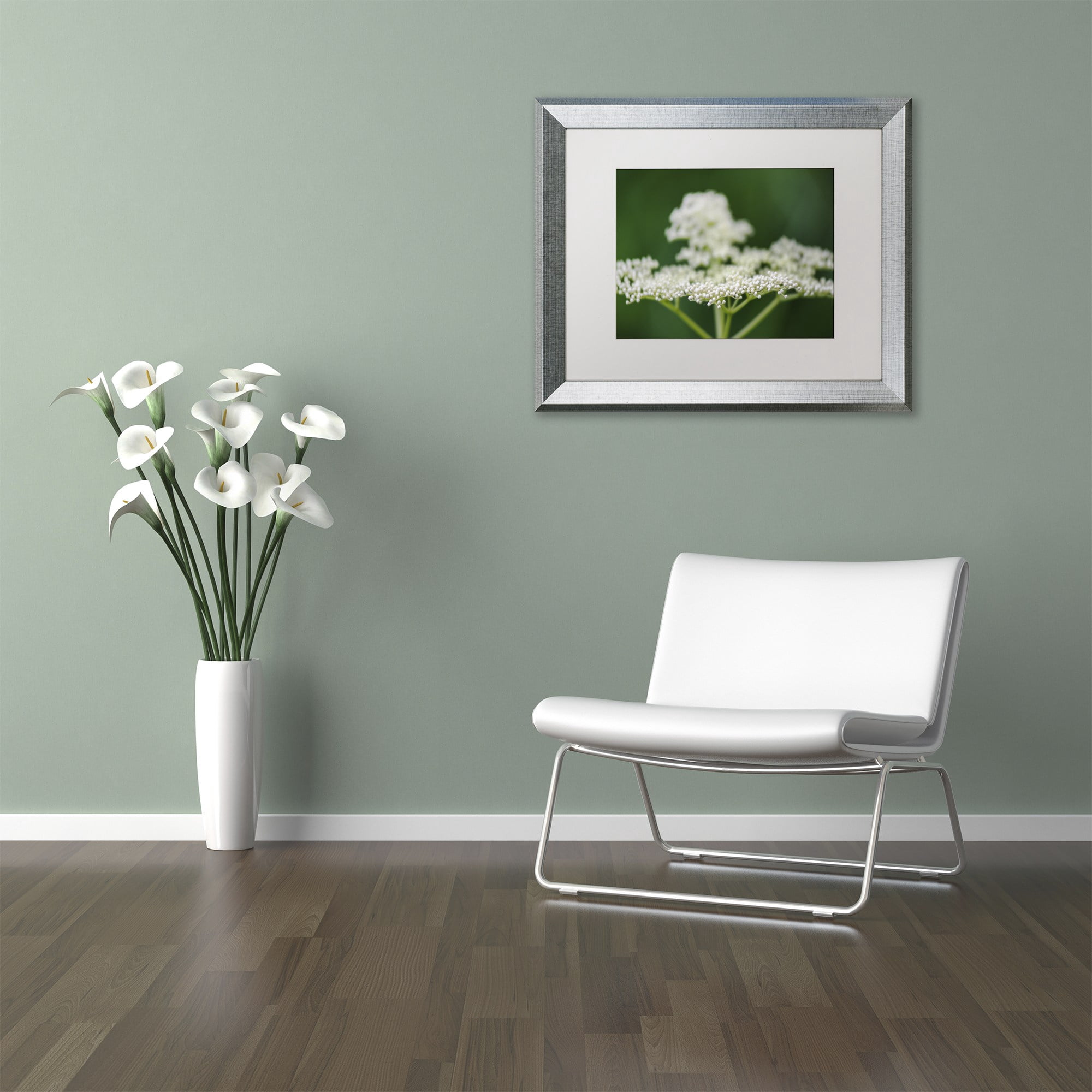 Trademark Fine Art "Nature is Amazing" Canvas Art by Kurt Shaffer, White Matte, Silver Frame