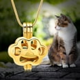 thumbnail image 3 of Pet Cremation Jewelry for Ashes for Dog Cat Paw Print Memorial Locket Urn Necklace with Mini Case Keepsake Cremation Jewelry for Women/Men, 3 of 7