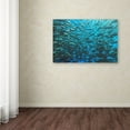 thumbnail image 3 of Henry Jager 'Split School Of Jackfish' Canvas Art, 3 of 3