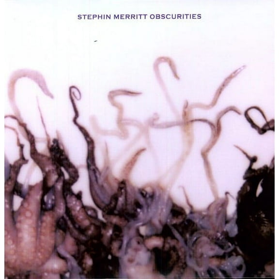 Stephin Merritt - Obscurities - Music & Performance - Vinyl