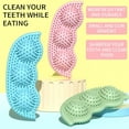 TPR Pet Dog Cleaning Teeth Toys Pea Shaped Training Resistant Molar y