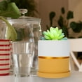 thumbnail image 6 of Worgeous  Succulent Flower Pot Set Succulents Indoor Urn Planter Plants Office Pink, 6 of 8