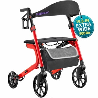 SINCEBORN, 4 in 1 Electric Rollator, ER-X3, Silver - Walmart.com