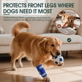 thumbnail image 3 of Kuoser Dog Front Leg Brace, Adjustable Carpal Support Wrap for Canine Joint, Wound Recovery & Anti-Licking Sleeve, Blue, XXS/XS, 3 of 8