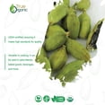 thumbnail image 3 of True Organic Ceylon Cardamom Whole Pods, 3.5 Ounces, USDA Organic & Kosher Certified, 3 of 8