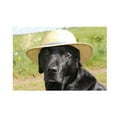 thumbnail image 1 of Kevin Milner Posh Lab Greetings Card, 1 of 1