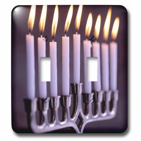 3dRose Hanukkah Candles double toggle switch