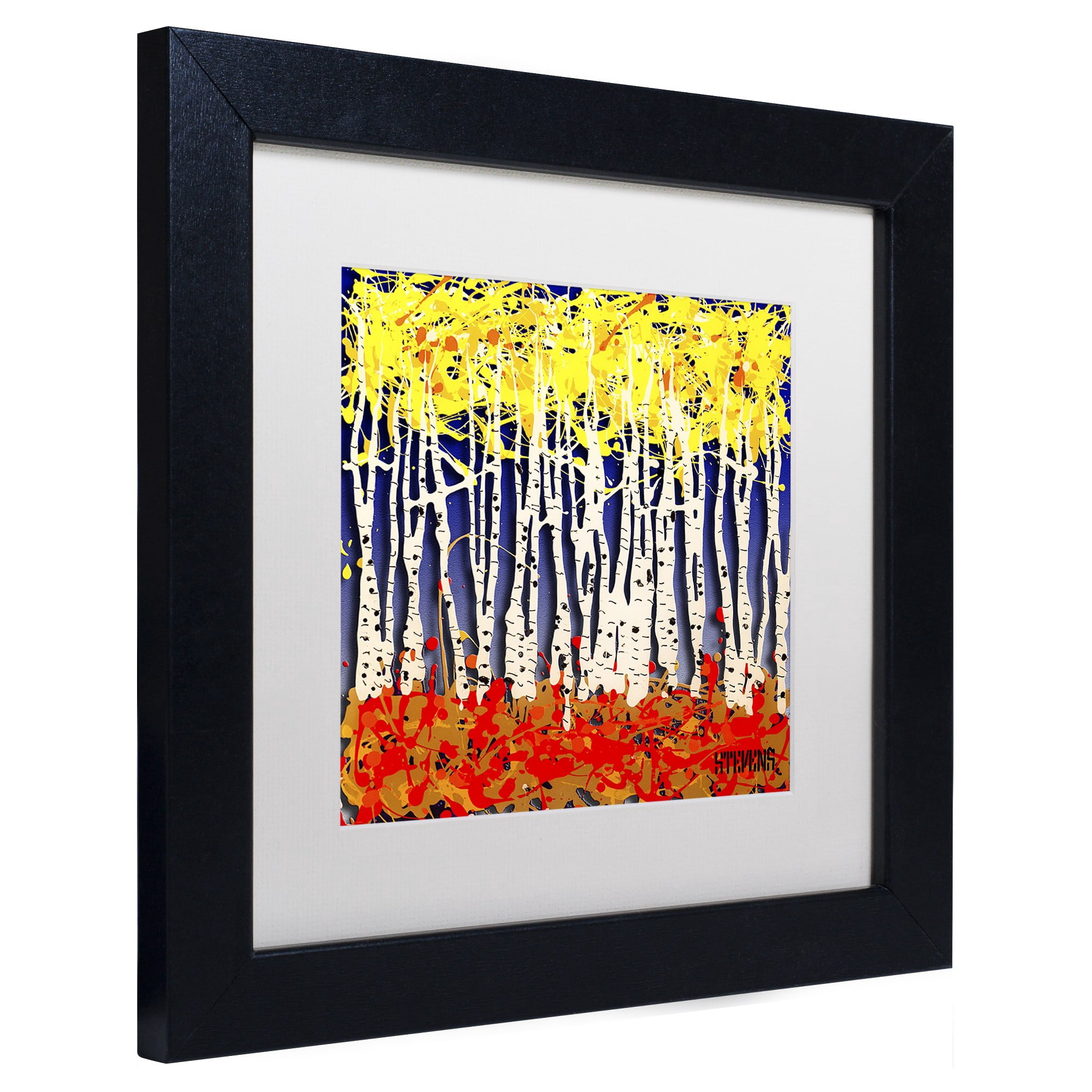 Trademark Fine Art "White Aspens" Canvas Art by Roderick Stevens, White Matte, Black Frame