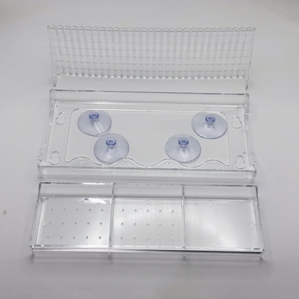 Comedero para Pájaros Con Ventana Acrílico Desmontable Patio Al Aire Libre