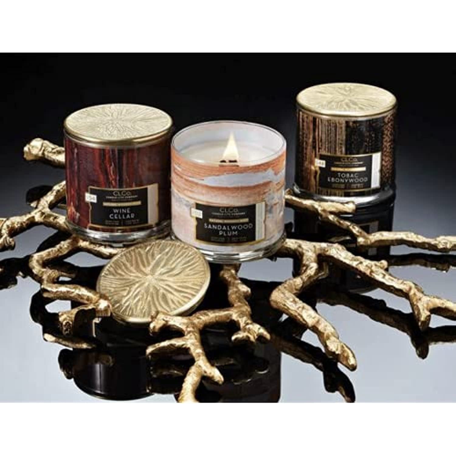 Candle Lite 4330668 Jar Candle, Leather Jacaranda, 14-oz
