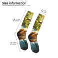 thumbnail image 2 of Cauagu Lazy Home Style Guinea Pig Print Women's Men's Ankle Socks 1-pack Casual Athletic Socks for Unisex Adult Moisture-Wicking Socks for Daily Wear/Running/Sport, 2 of 8