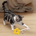 thumbnail image 5 of Natural Loofah Chew Interactive Cleaning Teething Enrichment Activity Toy for Cats and Small, 5 of 6