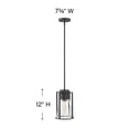 thumbnail image 4 of 1 Light Small Pendant In Industrial Style 7.75 Inches Wide By 12 Inches High-Black Finish-Clear Glass Color Hinkley Lighting 63307Bk-Cl, 4 of 5