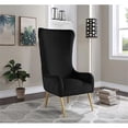 thumbnail image 6 of Best Master Furniture Venetian Tufted Velvet High Back Arm Chair in Black, 6 of 6