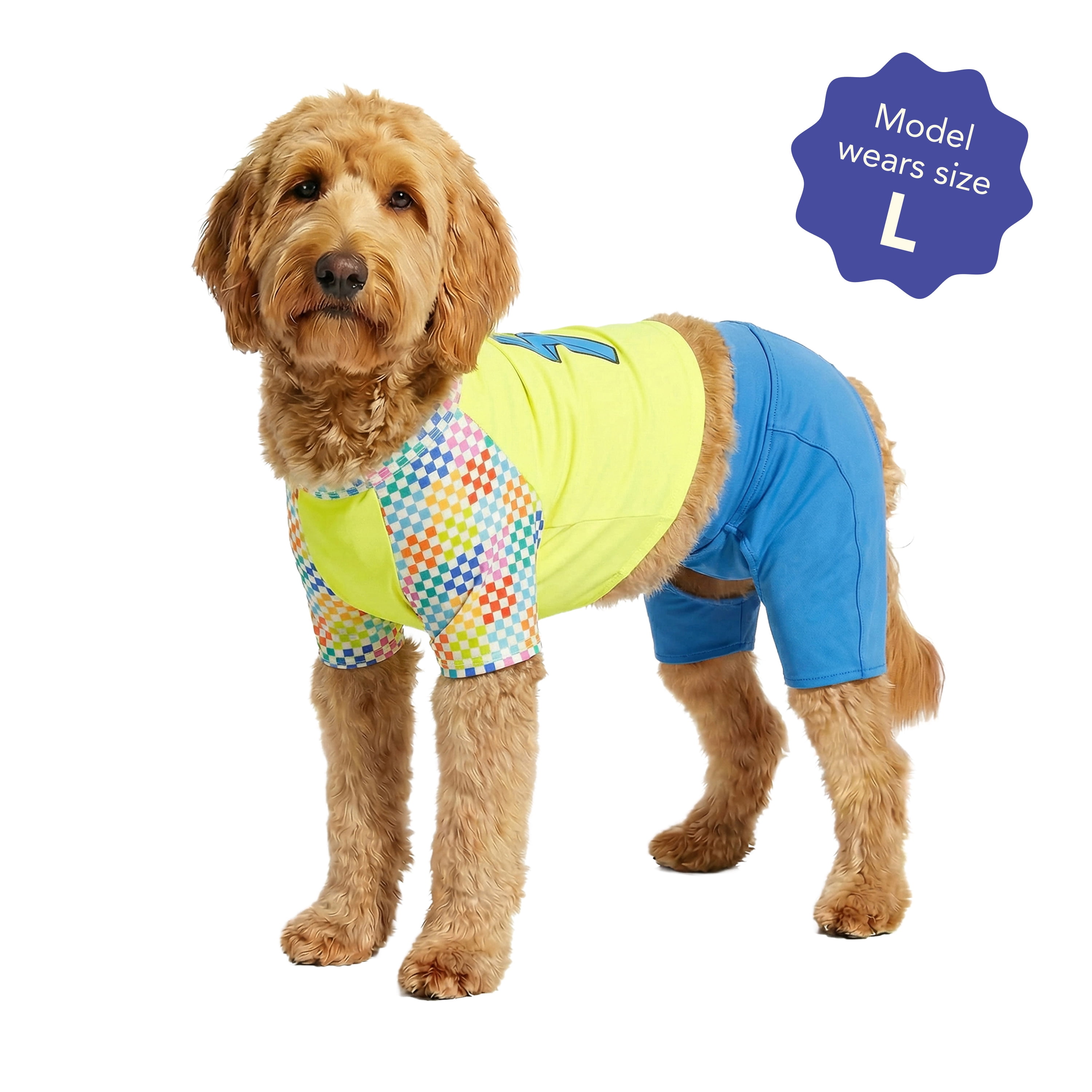 Oodles Green Lightning Bolt Spring 2-Piece Dog Swimsuit, Large