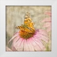 thumbnail image 1 of Murdock, Ramona 20x20 White Modern Wood Framed Museum Art Print Titled - Tattered Butterfly, 1 of 4