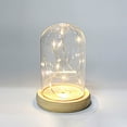 thumbnail image 3 of Glass Dome Wooden Base With LED Light Landscape Vase Dry Flower Cloche Cover DIY Succulent Plants Container Holder Bedroom Decor, 3 of 6