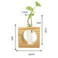 thumbnail image 2 of Coofit Plant Terrarium Creative Tabletop Glass Vase Glass Planter with Wood Stand, 2 of 10