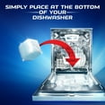 thumbnail image 5 of Finish in-Wash Dishwasher Cleaner: Clean Hidden Grease and Grime, 12 ct 3 Count (Pack of 4), 5 of 7
