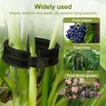 thumbnail image 4 of 100PC Plant Fixing Clip Secured Plastic Plant Clip Upgrade Plant Support Clips Garden Clips For Climbing Plants Plastic Clips Plant Support Clips Tomato Grape Vine Vegetables Plant Fixing Clips, 4 of 8